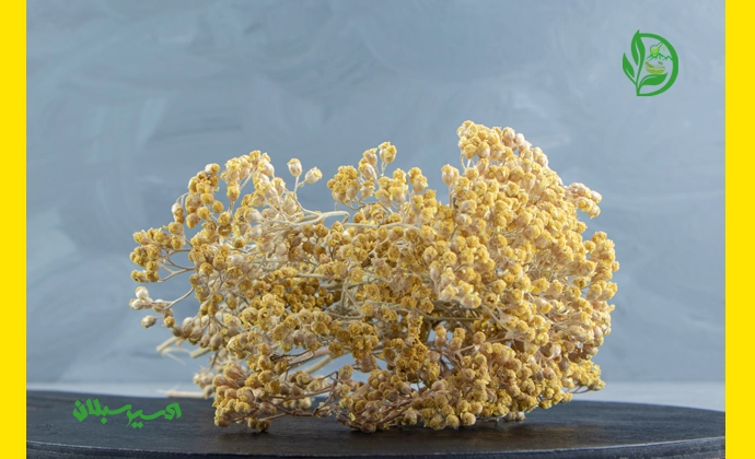 خرید بومادران با کیفیت ممتاز و اصل از برند اکسیر سبلان 